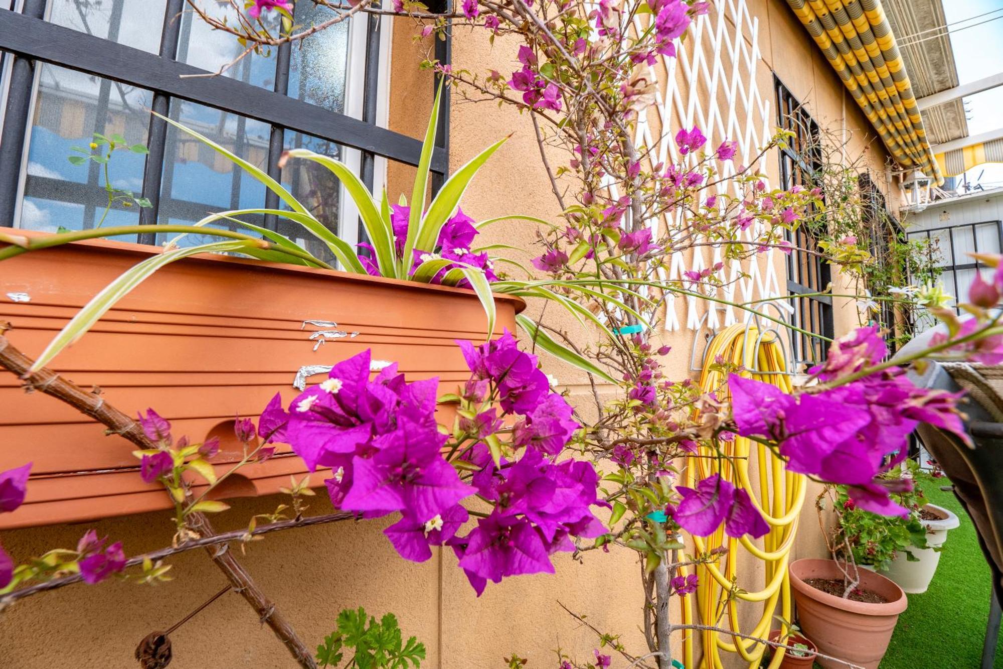 Appartamento Atico Con Terraza Junto A La Catedral Huelva Esterno foto